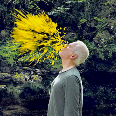 Andy Goldsworthy