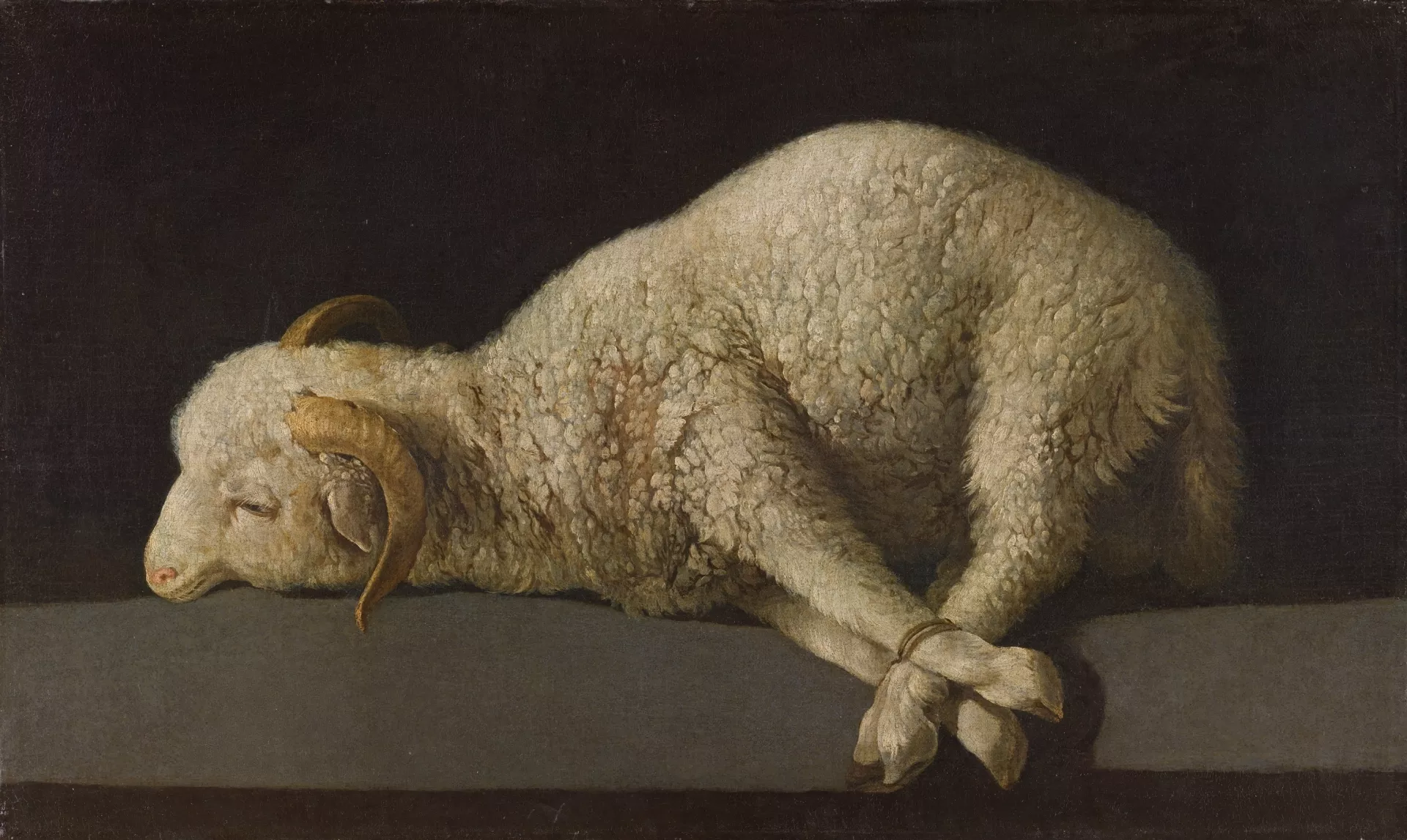 Imagen de la obra Agnus Dei
