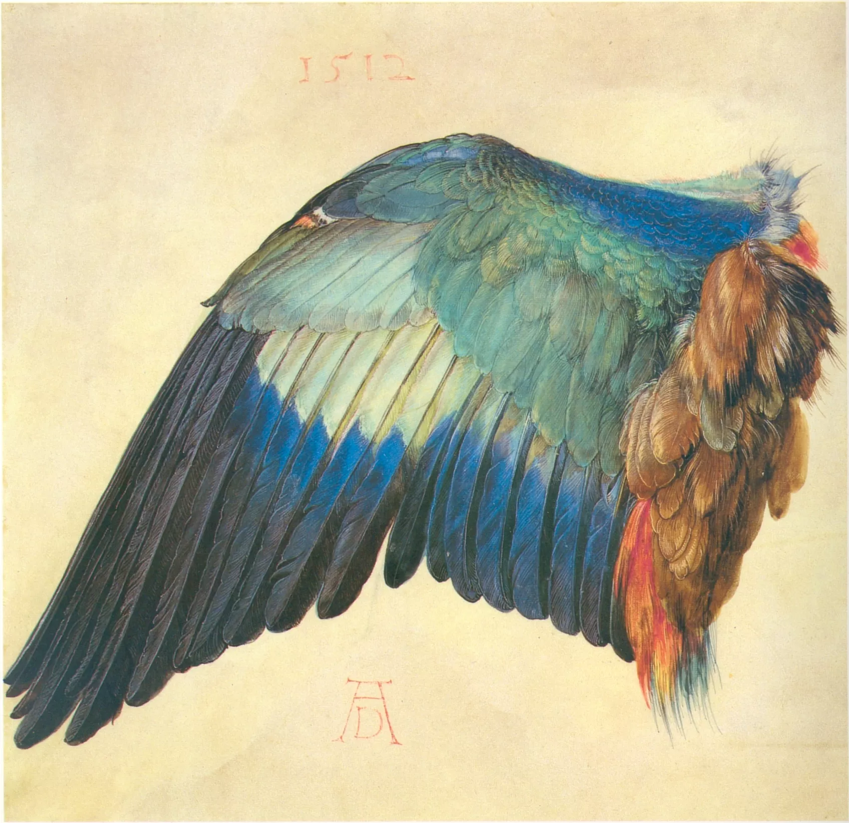 Imagen de la obra Ala de pájaro