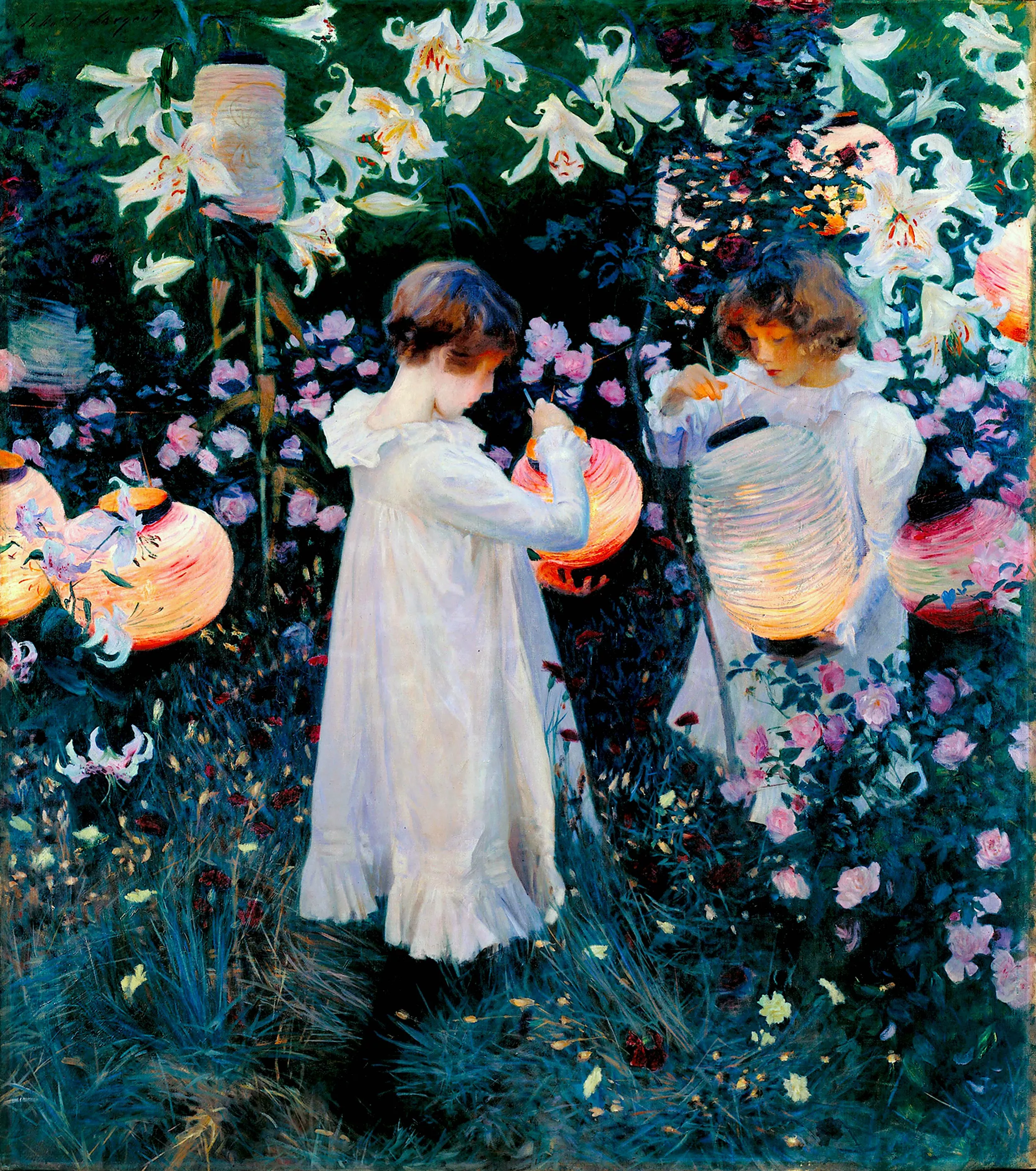 Clavel, lila, lila, rosa
